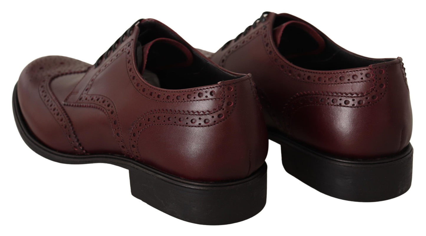 Dolce & Gabbana Elegante Bordeaux Leren Derby Schoenen