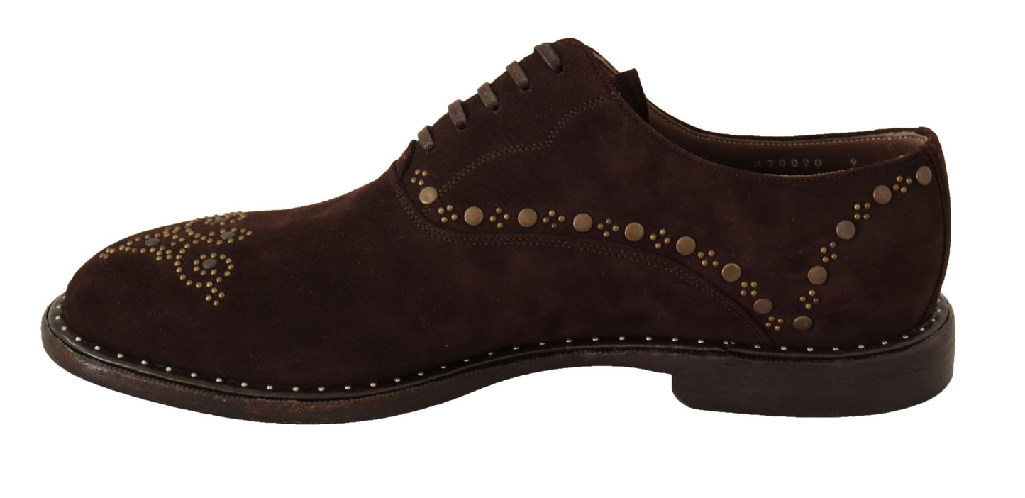 Dolce & Gabbana Elegante Bruine Su������de Derby Schoenen Met Studs