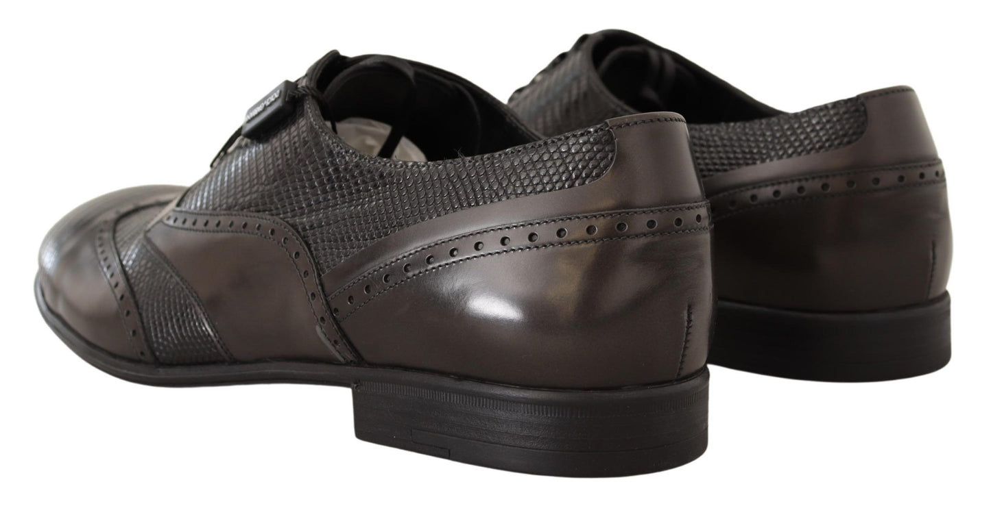 Dolce & Gabbana Elegante Bruine Hagedisleren Oxford Schoenen