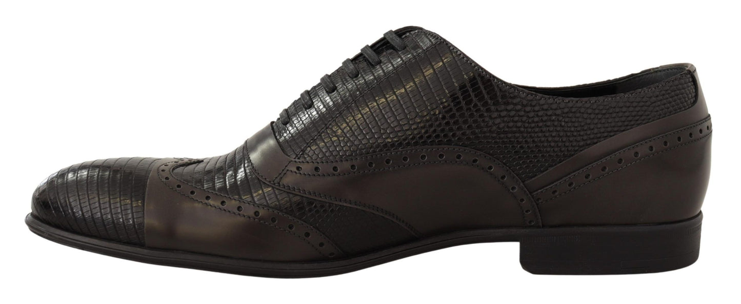 Dolce & Gabbana Elegante Bruine Hagedisleren Oxford Schoenen