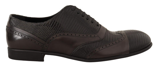 Dolce & Gabbana Elegante Bruine Hagedisleren Oxford Schoenen