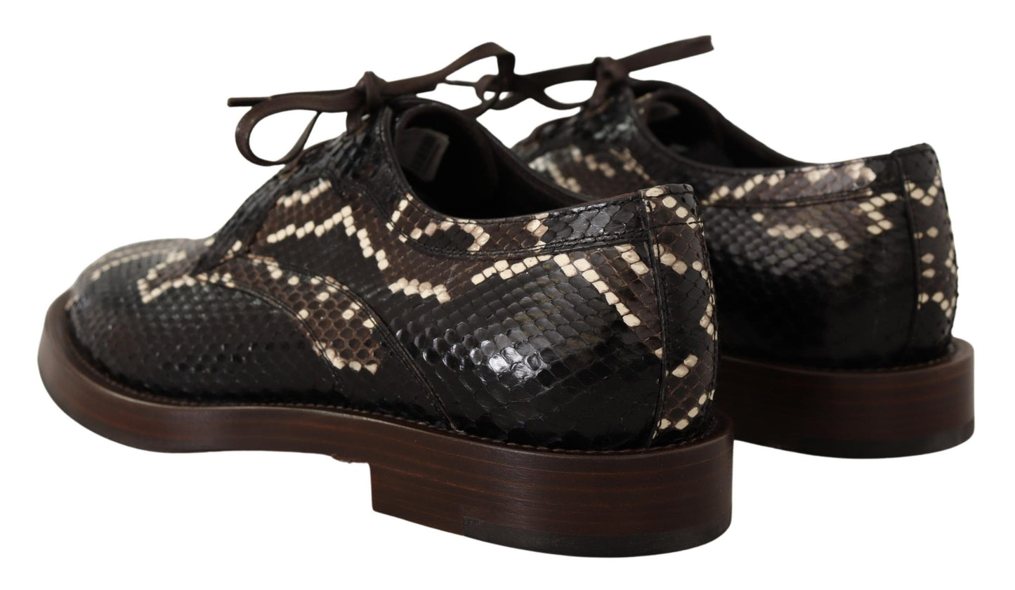 Dolce & Gabbana Elegante Formele Python Derby Schoenen