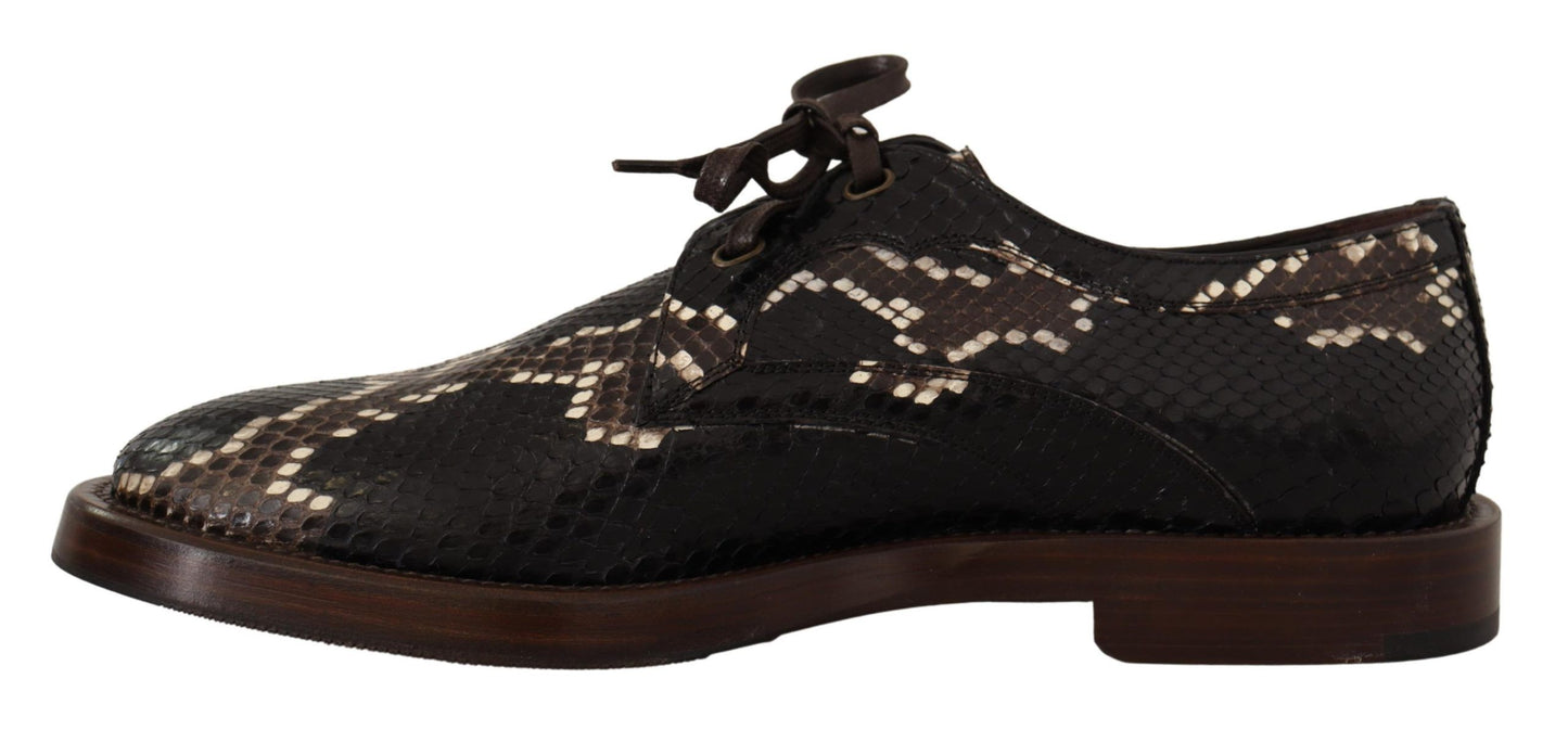 Dolce & Gabbana Elegante Formele Python Derby Schoenen