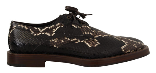 Dolce & Gabbana Elegante Formele Python Derby Schoenen