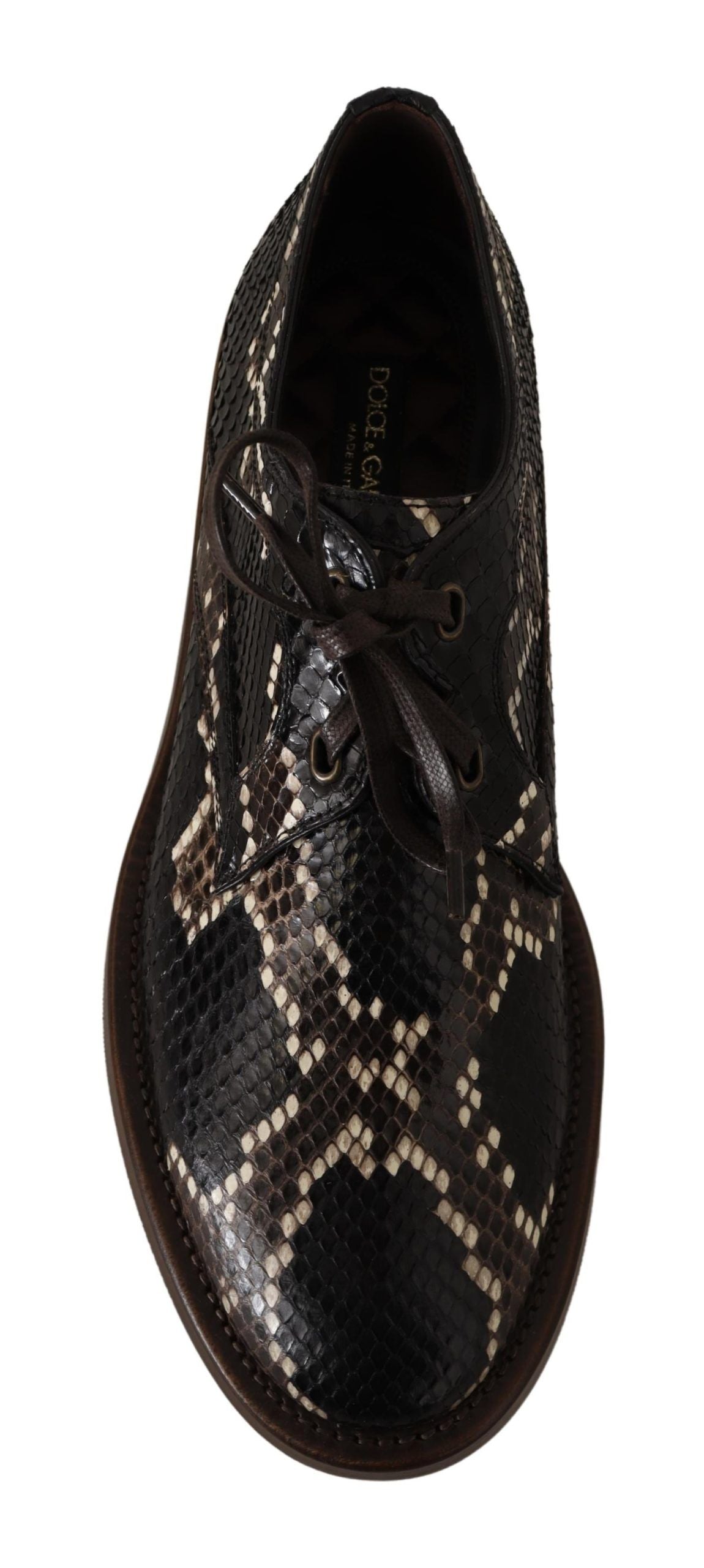 Dolce & Gabbana Elegante Formele Python Derby Schoenen