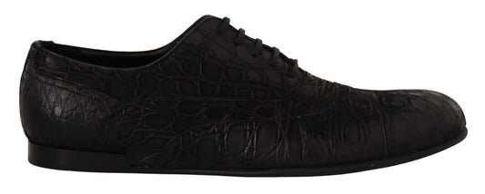 Dolce & Gabbana Elegante Exotische Leren Oxford Schoenen