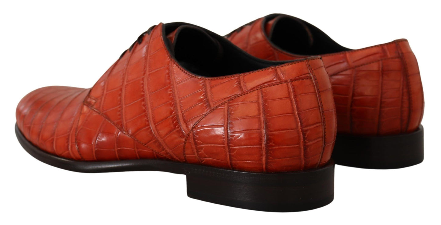 Dolce & Gabbana Exquisite Exotic Croc Leather Veterschoenen