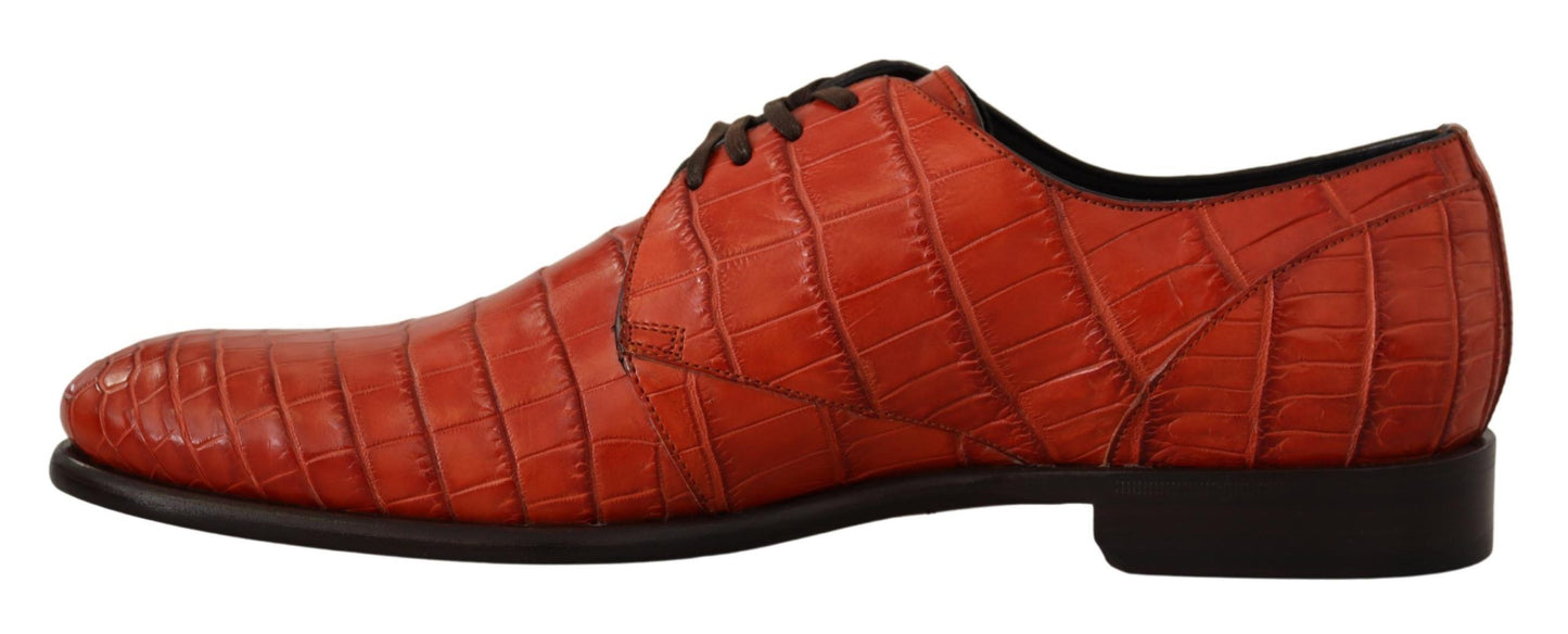 Dolce & Gabbana Exquisite Exotic Croc Leather Veterschoenen