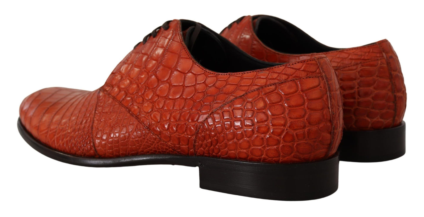 Dolce & Gabbana Exotic Orange Croc leren veterschoenen