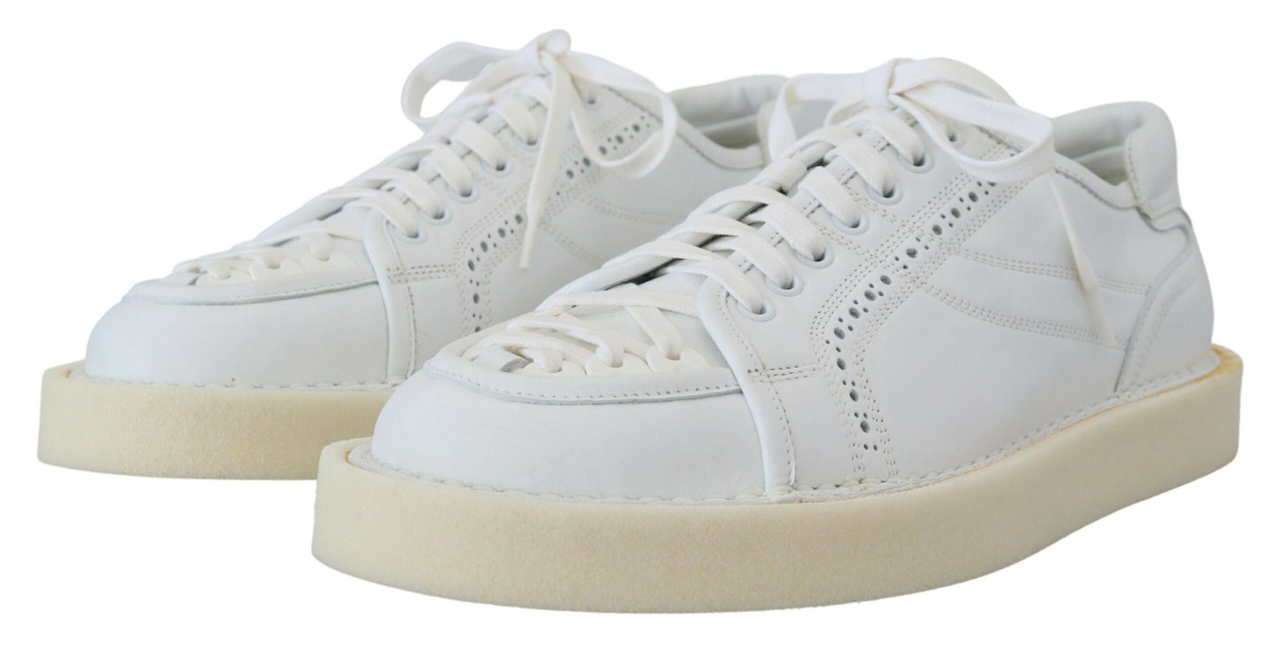 Dolce & Gabbana Elegante Witte Lage Oxford Sneakers