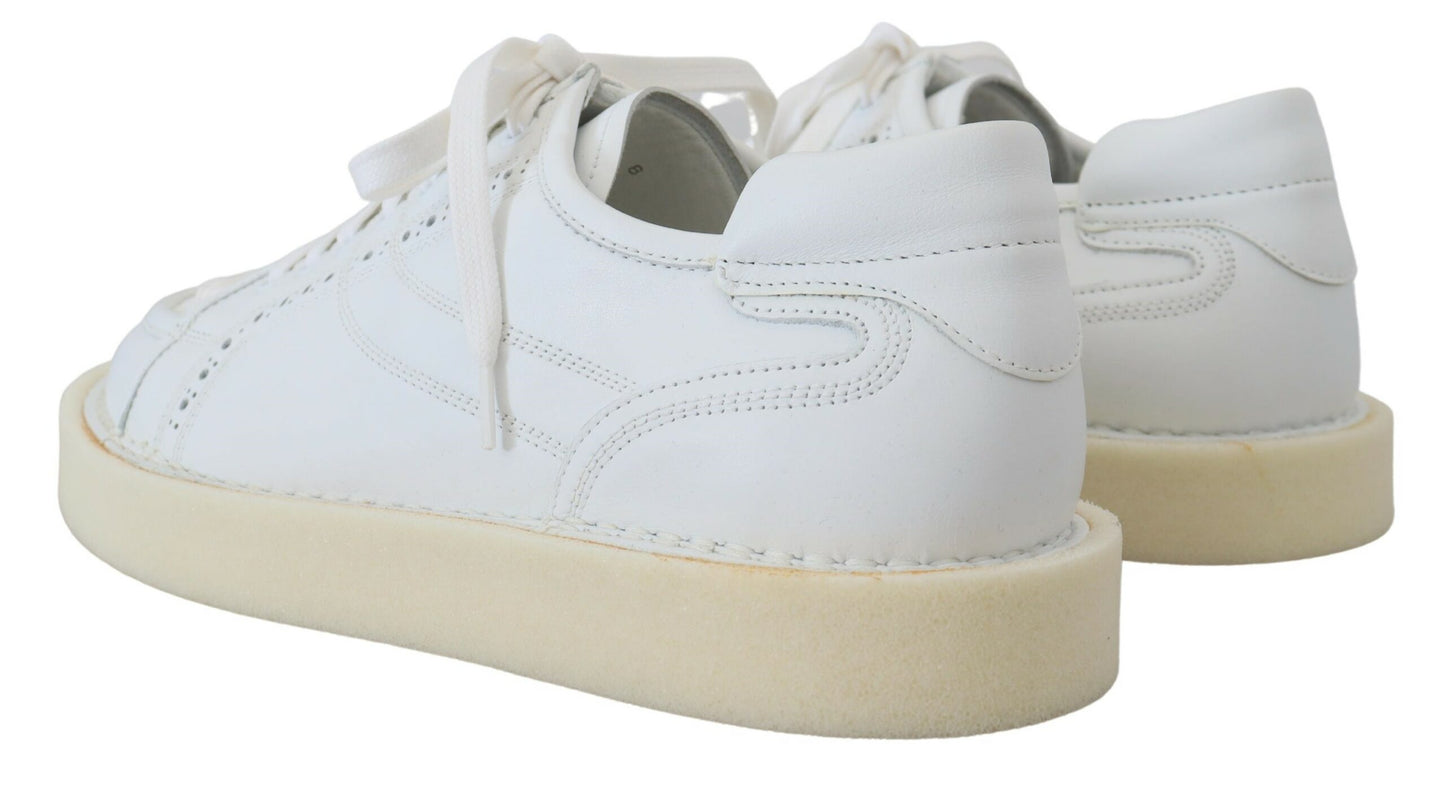 Dolce & Gabbana Elegante Witte Lage Oxford Sneakers