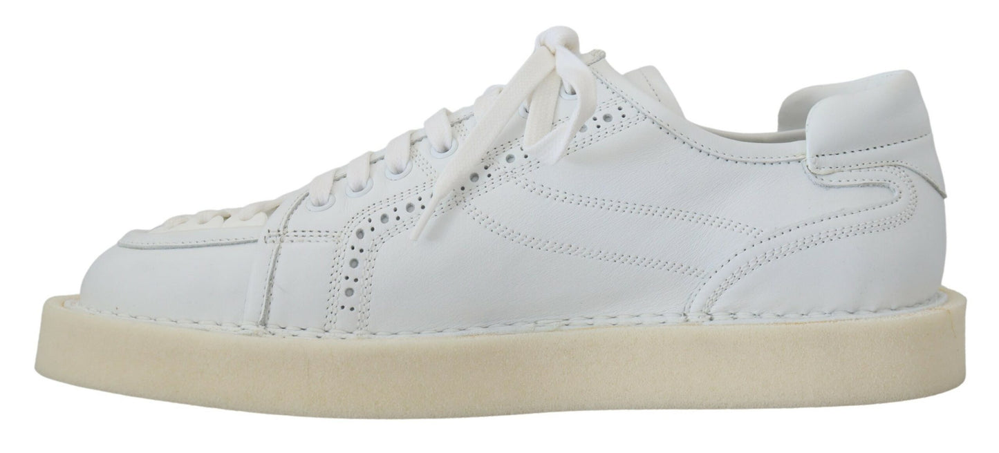 Dolce & Gabbana Elegante Witte Lage Oxford Sneakers